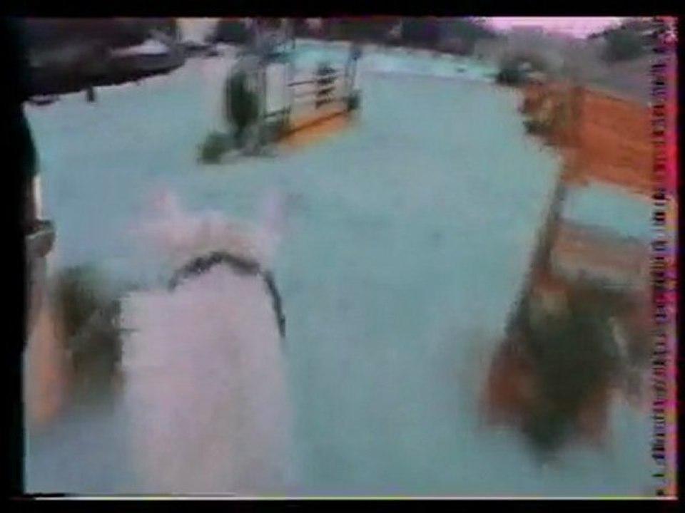 Saut d'obstacles