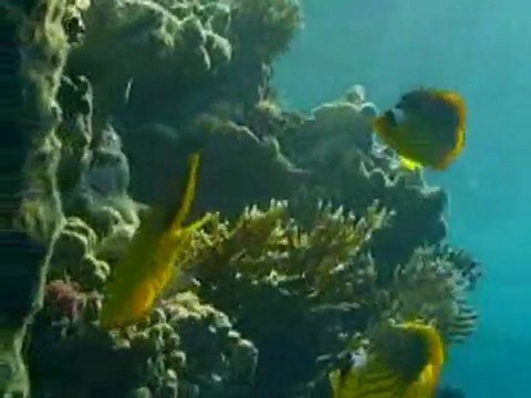 INTERCONTINENTAL PALACE PORT G In the Know