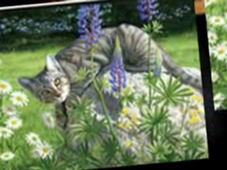 Wipe Your Paws Door Mat with Cat  Doormats