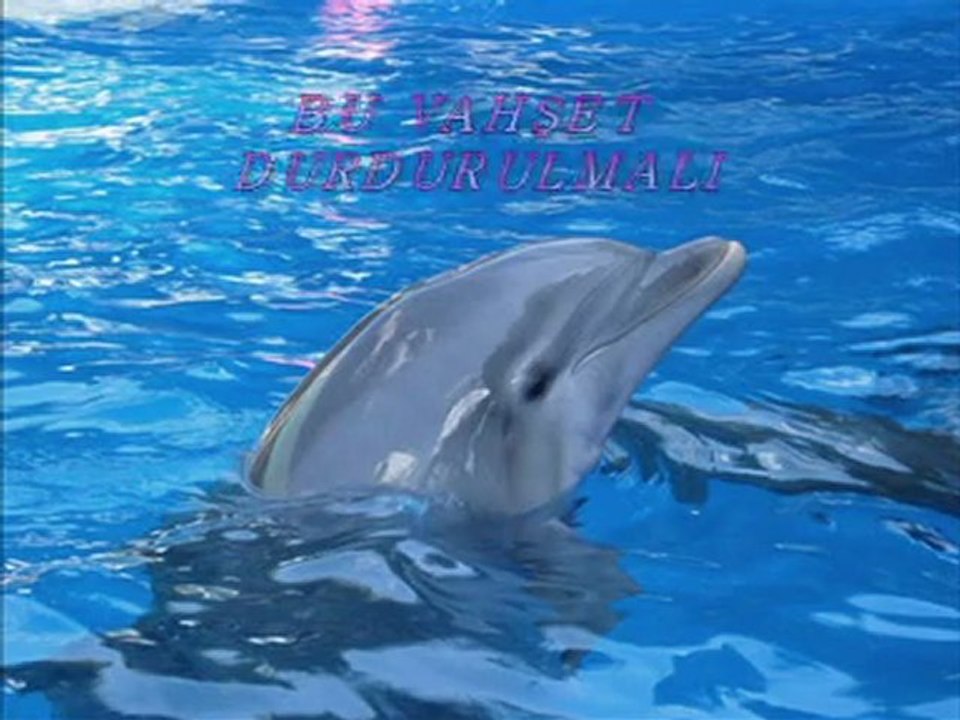 BU VAHŞET DURDURULMALI