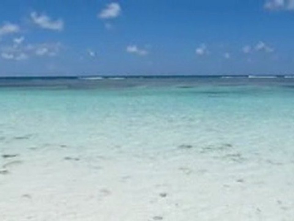 Bird_Plage.avi