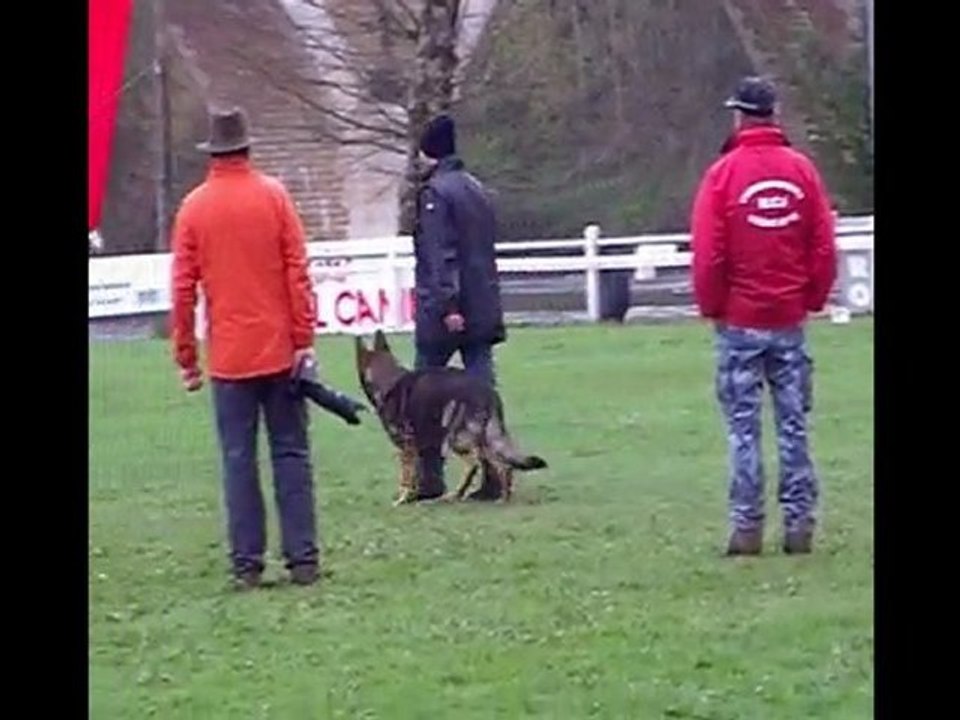 Ayrton des orckis de l'adret :vezac obeissance 2010