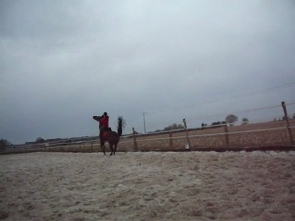 Finegold video 3 (sauts de moutons dehors)