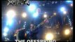 АНОНС: ЖИВАГА – The Offspring, 29 ноября, 23:00