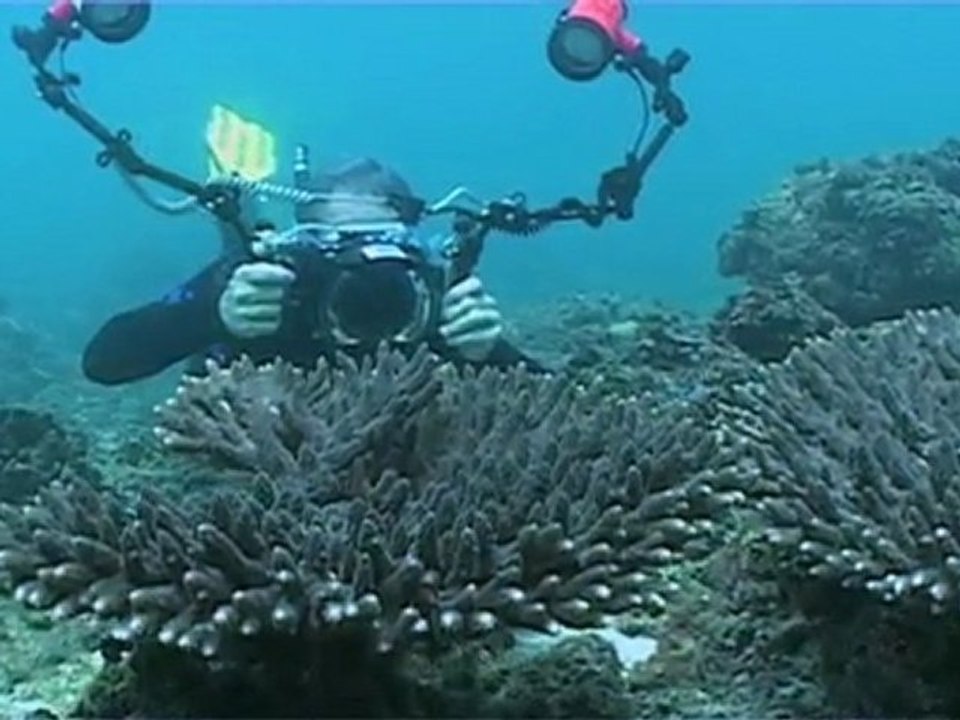 TOTAL Environnement test