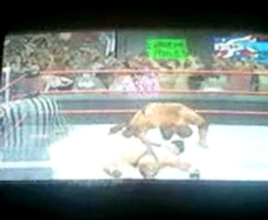 jackswagger