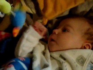 renan dans son parc 8 avril 2010