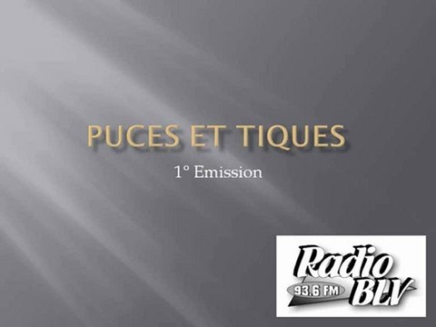 1° Emission Radio: Puces et Tiques