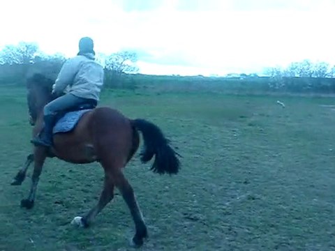 Pas Galop puis Galop Pas