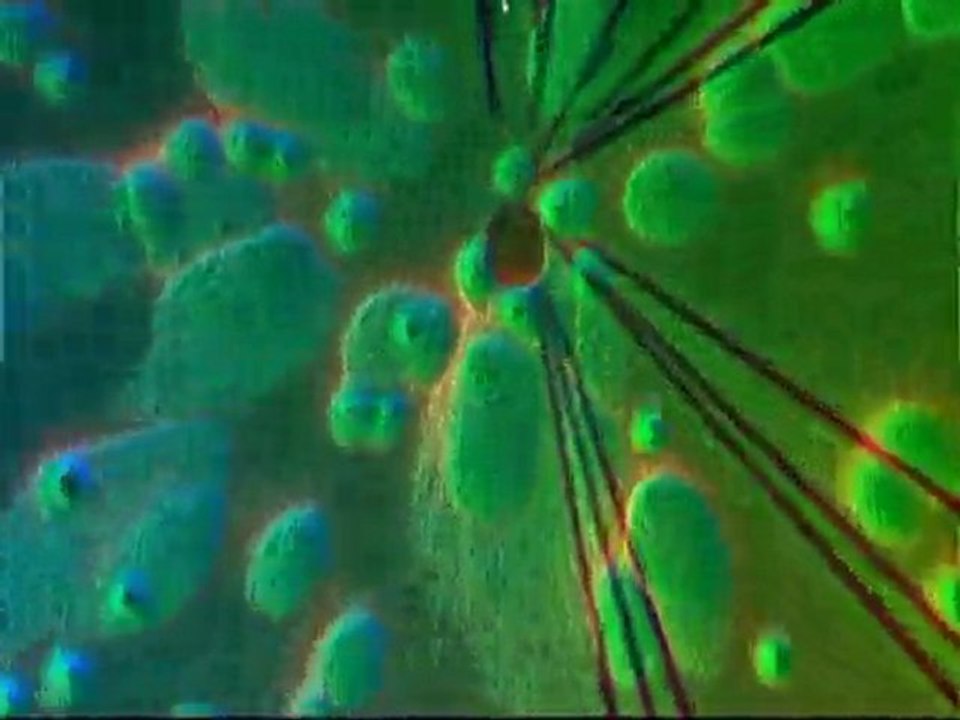 DeeJay NAT remix sound club 2010 clip