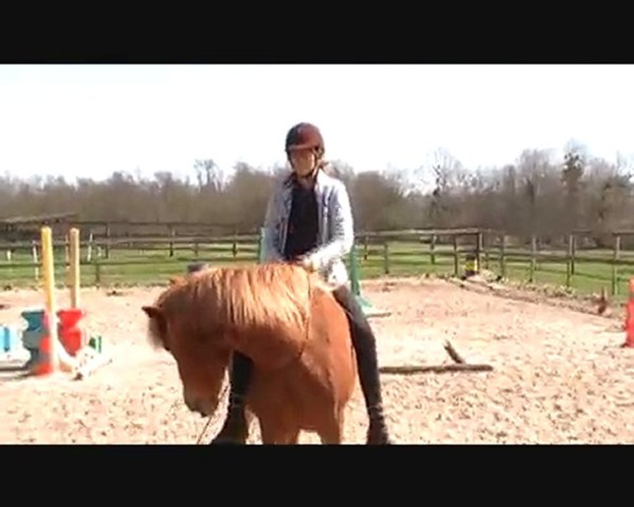 montage janvier 06.04.2010