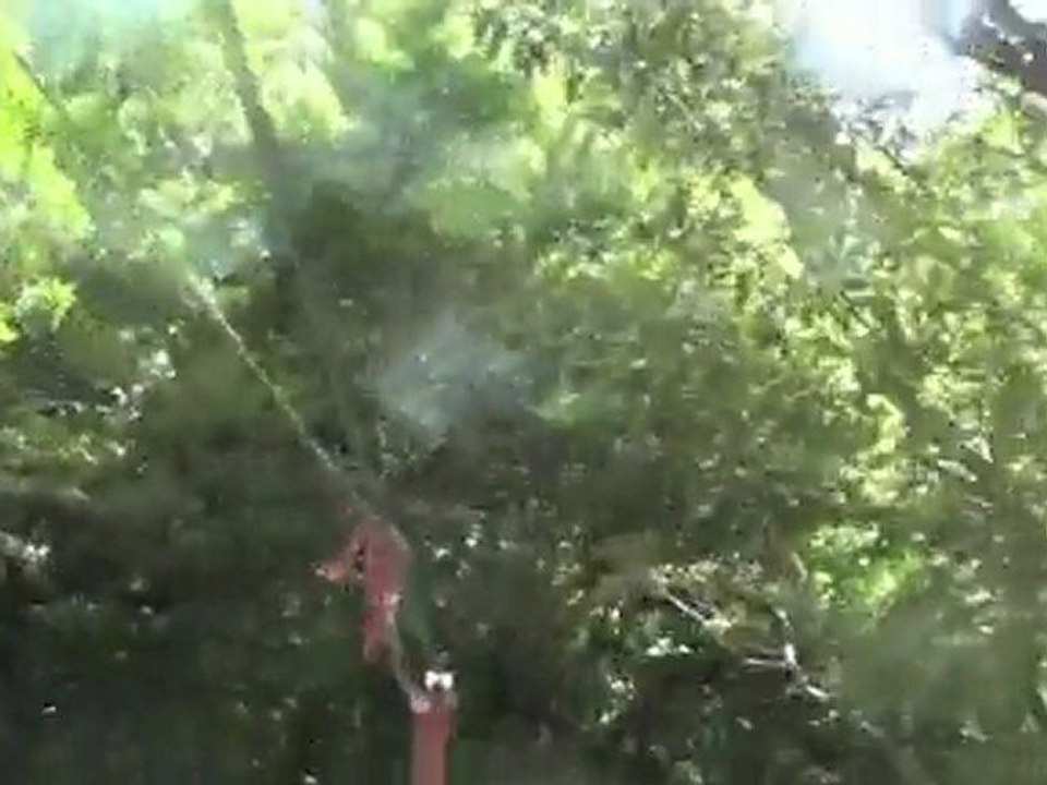 RunkWelten Canope 2010 HD