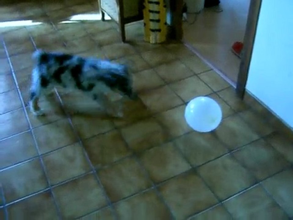 pepsi et le balon