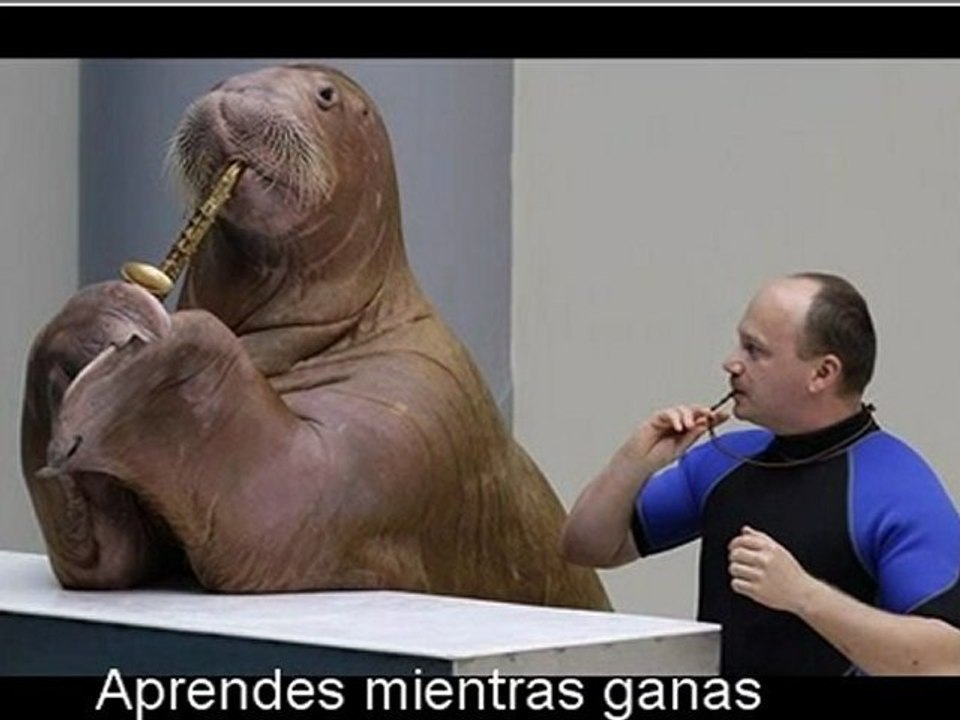Ganar Dinero Facil