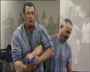 steven seagal 2 (2)