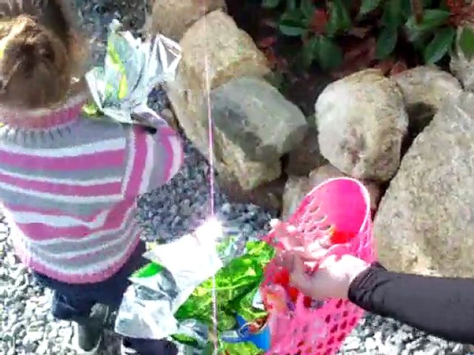 Sasha cherche les oeufs de Paques