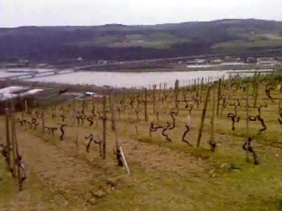 vignobles vallée du rhone. 04.2010