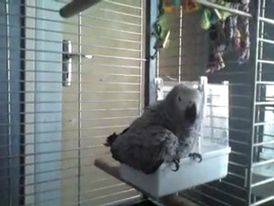 Pepsy prend son bain