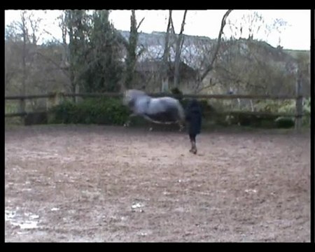 Maltosa, allongements en longe