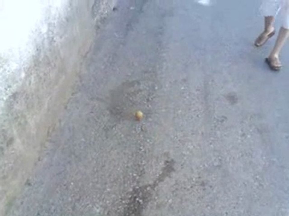 vızık çevirmek-Topaç Oyunu