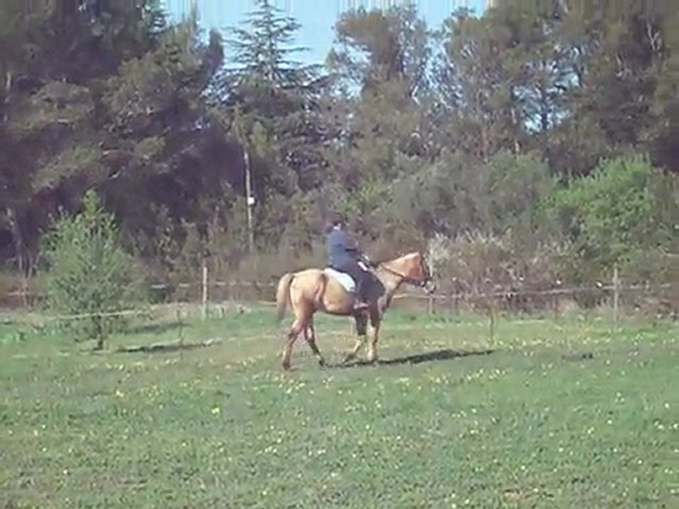 jumper 5 avril 2010