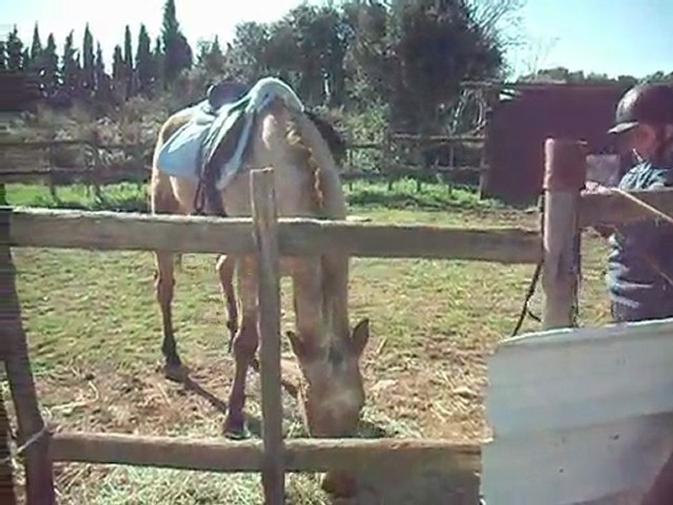 jumper 5 avril 2010