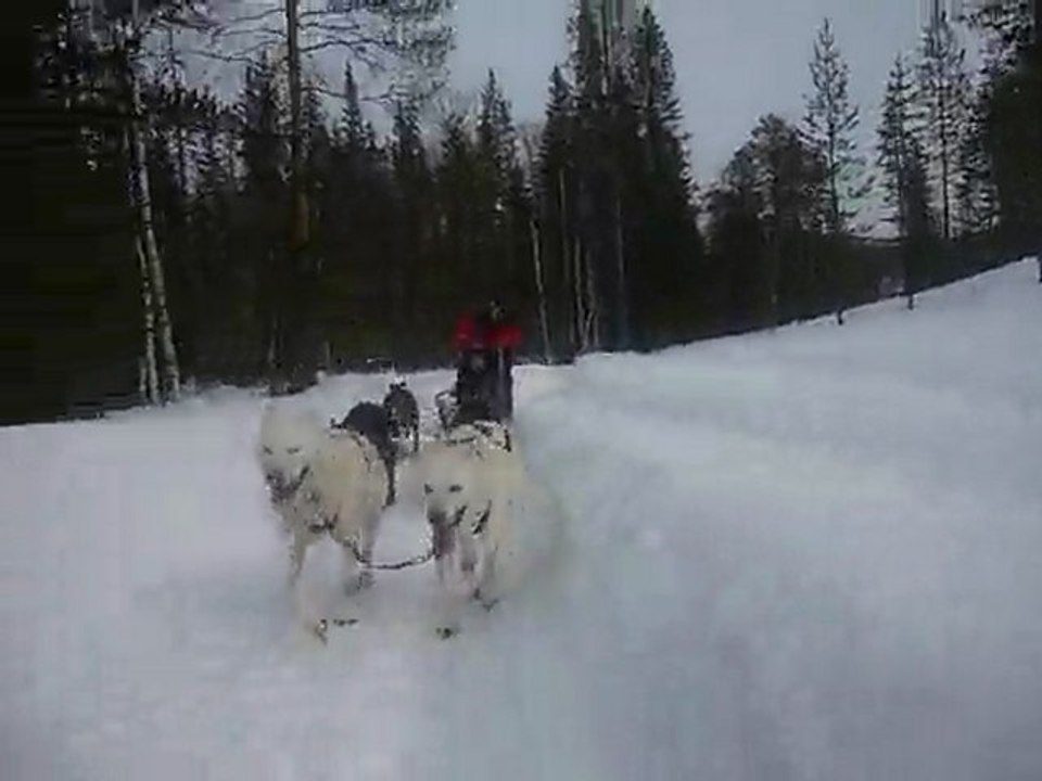 Traineau en action Rovaniemi