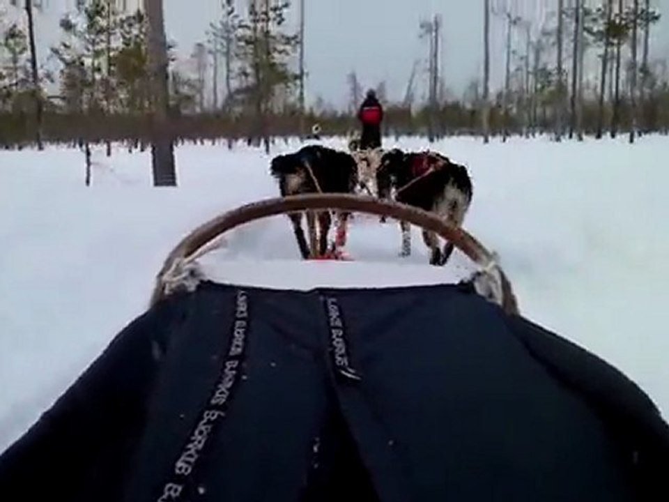 Cest bien le stage Rovaniemi