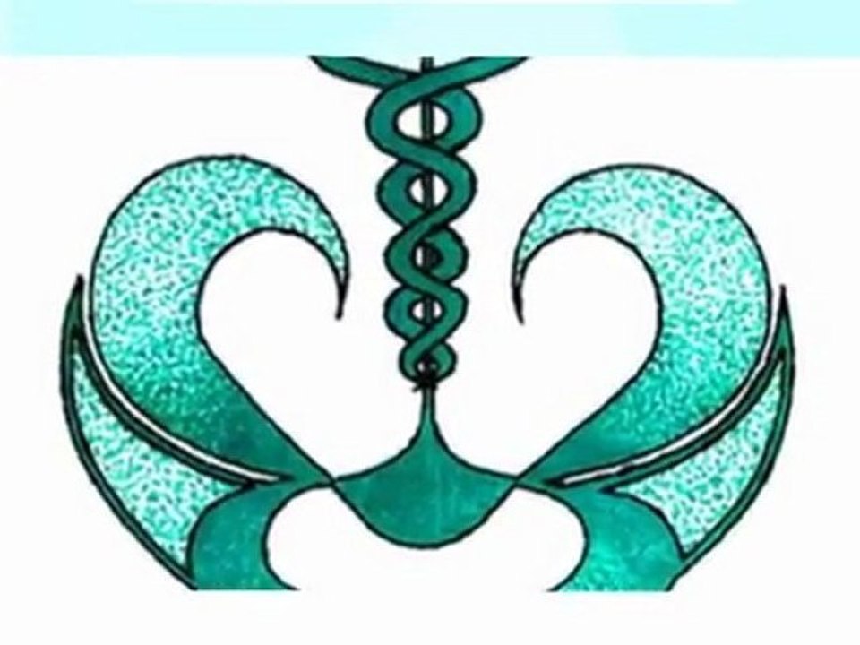 Mara Niang: Logotypes