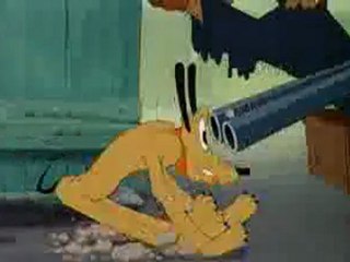 Canine Casanova (1945)