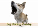 Dog Barking Training-Top 3 Tips on Dog Barking Training
