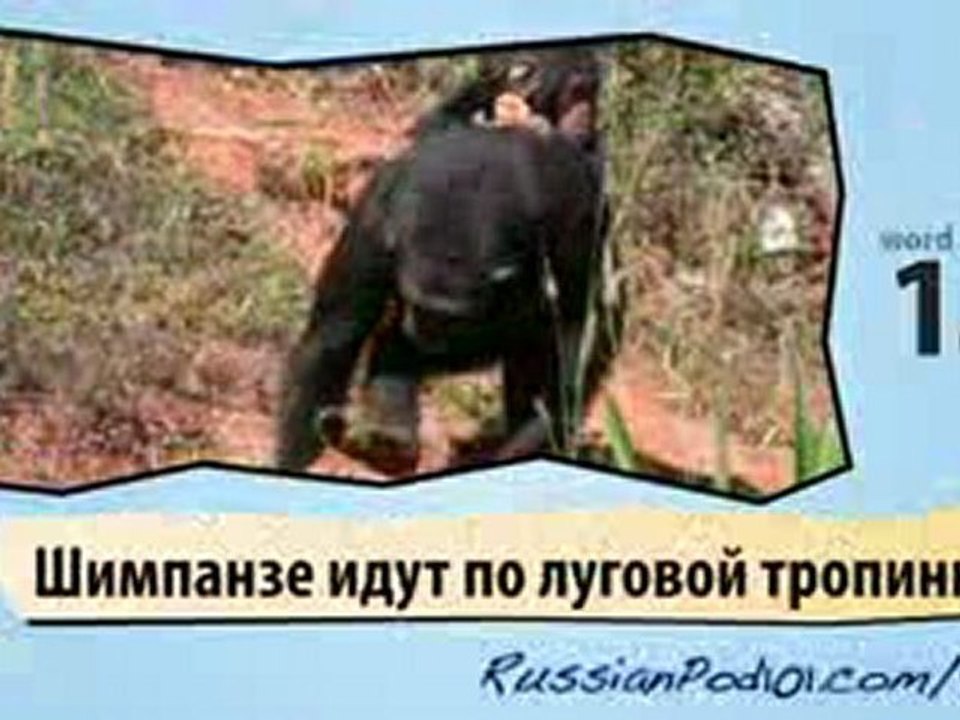 learn Russian-Learn with Jungles animals video