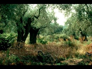 PT.3 EPHRAIM IS JOINED TO IDOLS LET HIM ALONE