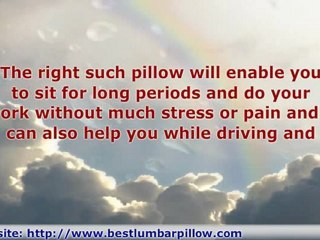 Lumbar Back Pillow