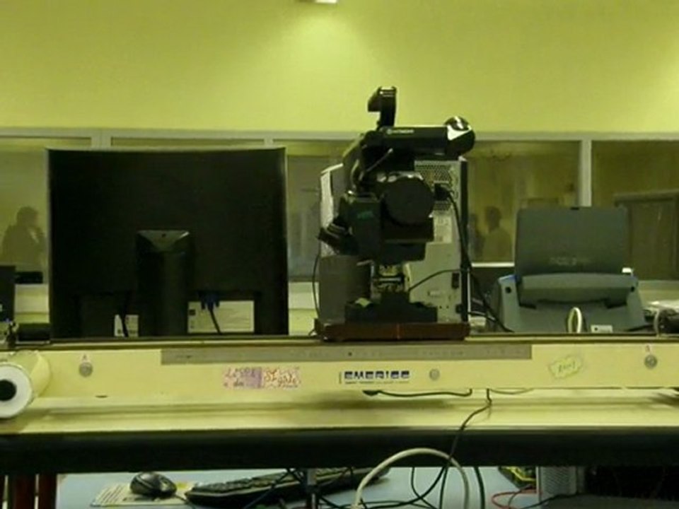 PPE 2010
