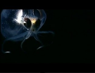 Bill Laswell & Tetsu Inoue - Ruins