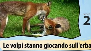 Learn Italian-Learn with Italian wild animals video