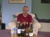 Simon Woods Wine Videos: Chilean Whites   WA Chard