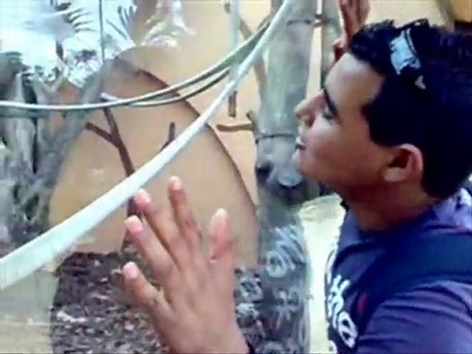 cosas de zoos..