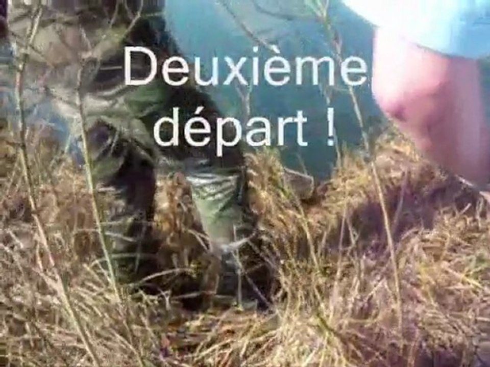 Mise à l'eau