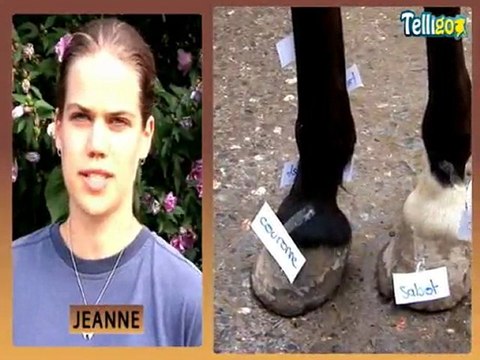 Les ateliers sur les colonies de vacances Telligo