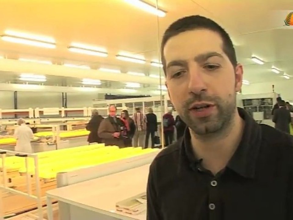 Focus sur l'assemblage de panneaux solaires photovoltaïques