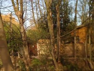 /SHE WON T SURVIVE  ALAIN MOISSET