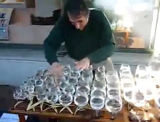 Suona Beethoven con i bicchieri