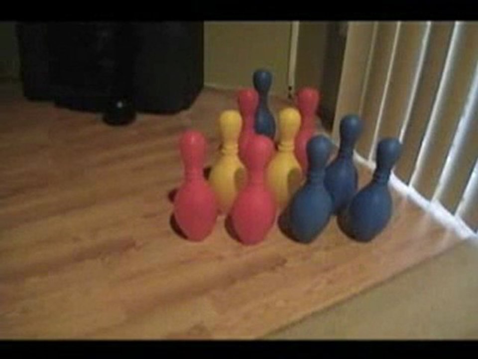 Chien bowling