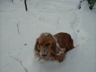 Ludwigslust - 2010 - the eternal Winter