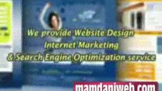 Professional - Web Designers | Website Designer