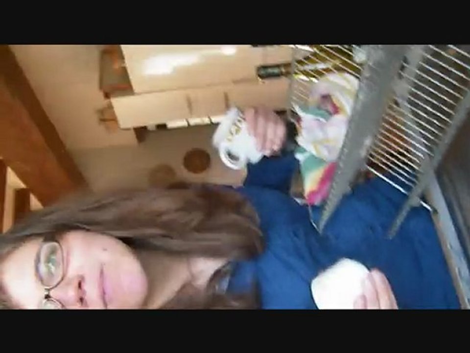 Something good Can Work , Two door cinema club ; Holidays