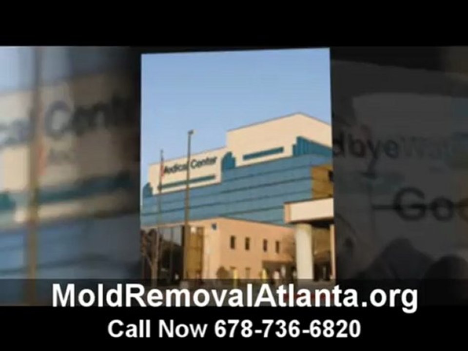 Mold Removal in Atlanta