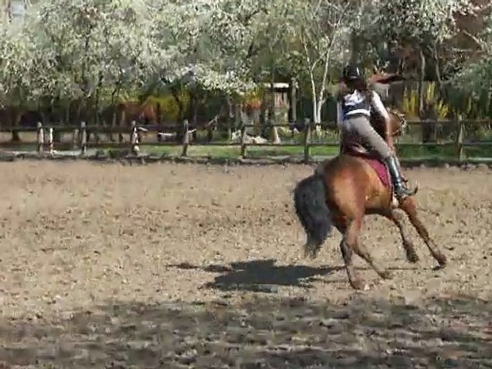 Jenny & Quarillon